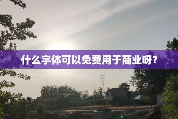什么字体可以免费用于商业呀？