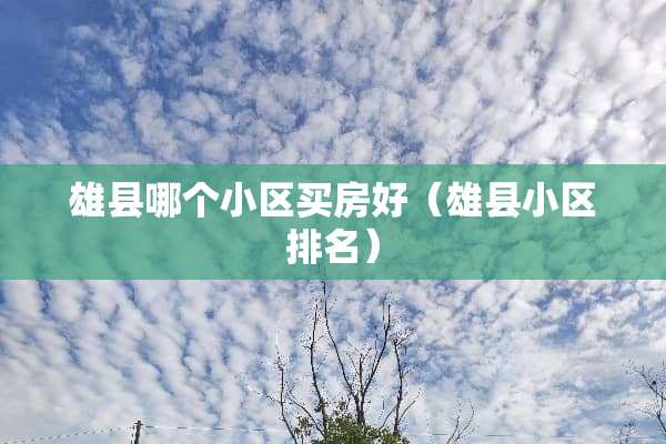 雄县哪个小区买房好（雄县小区排名）