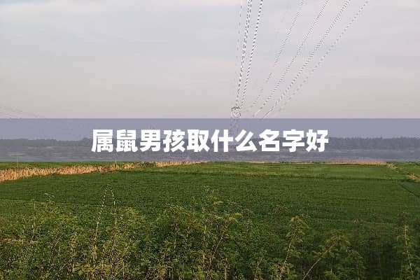 属鼠男孩取什么名字好