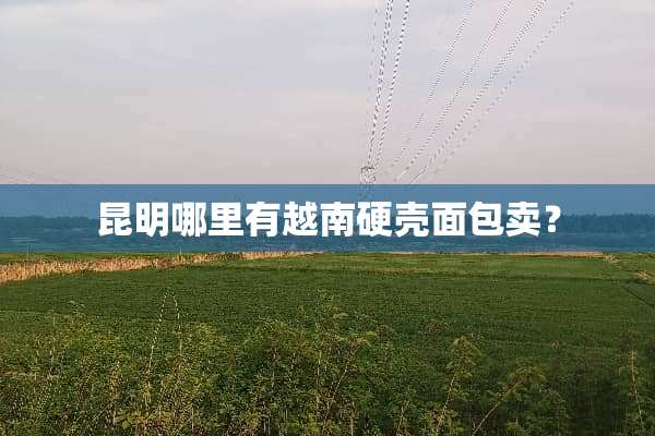 昆明哪里有越南硬壳面包卖？