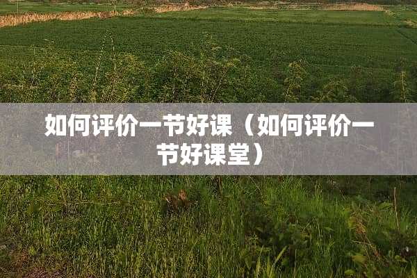 如何评价一节好课（如何评价一节好课堂）