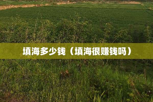 填海多少钱（填海很赚钱吗）