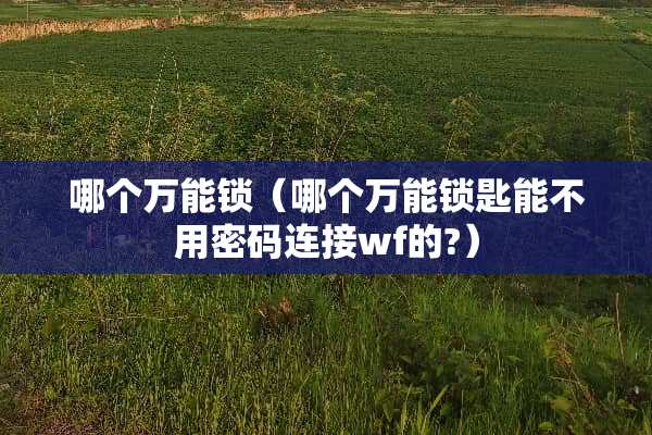 哪个万能锁（哪个万能锁匙能不用密码连接wf的?）