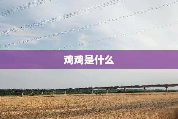 鸡鸡是什么