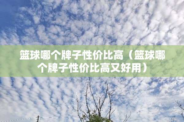 篮球哪个牌子性价比高（篮球哪个牌子性价比高又好用）