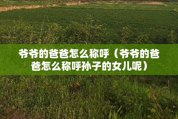 爷爷的爸爸怎么称呼（爷爷的爸爸怎么称呼孙子的女儿呢）