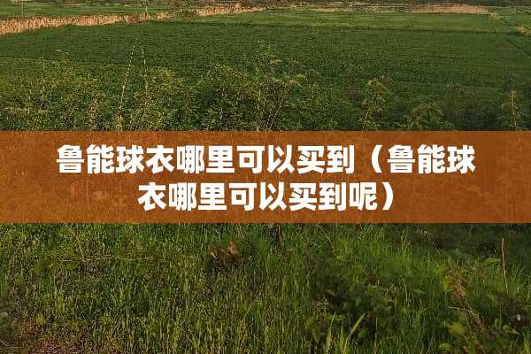 鲁能球衣哪里可以买到（鲁能球衣哪里可以买到呢）