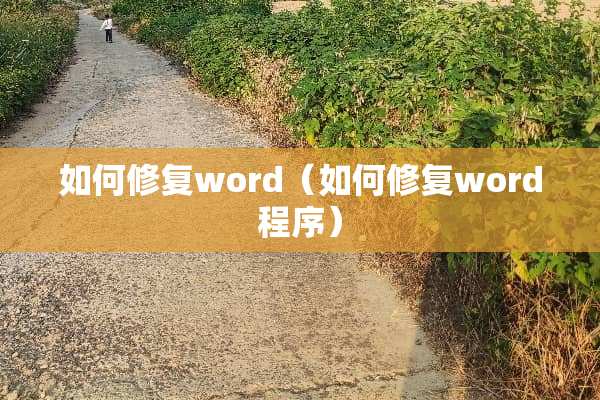 如何修复word（如何修复word程序）