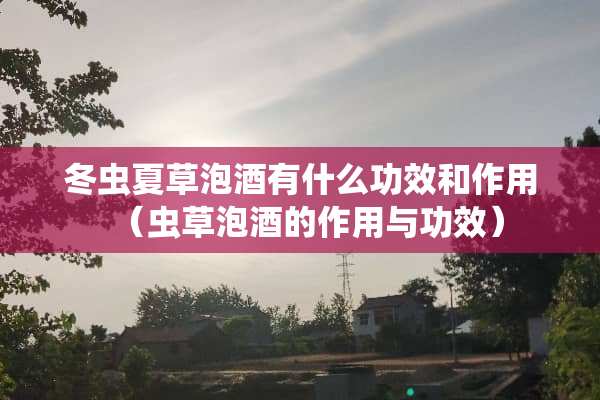 冬虫夏草泡酒有什么功效和作用（虫草泡酒的作用与功效）