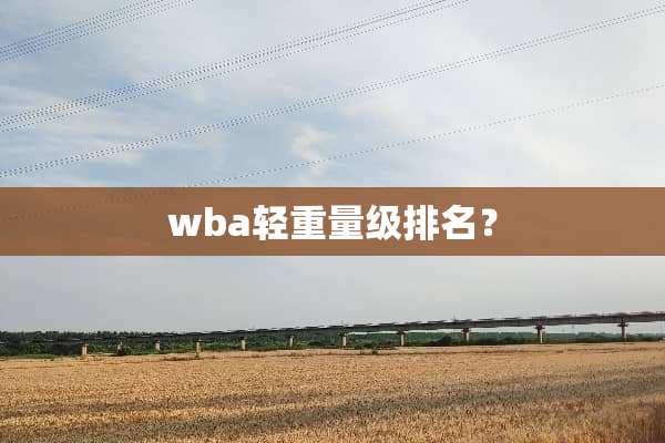 wba轻重量级排名？