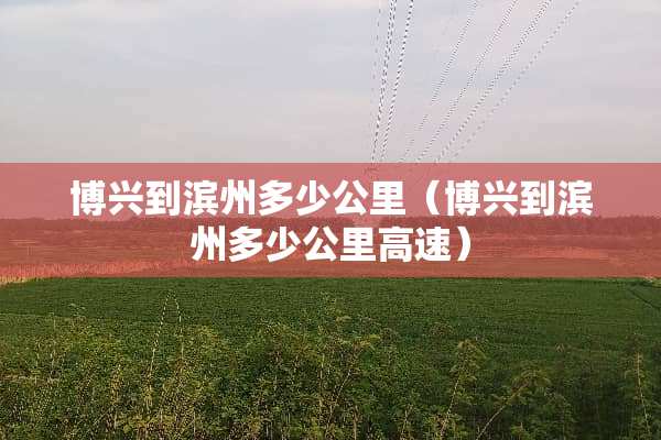 博兴到滨州多少公里（博兴到滨州多少公里高速）