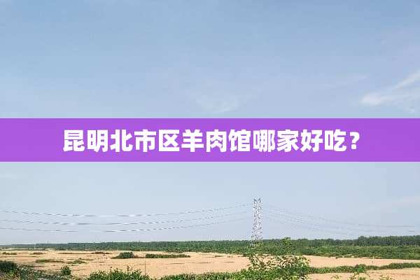 昆明北市区羊肉馆哪家好吃？