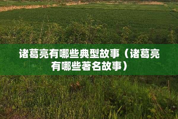 诸葛亮有哪些典型故事（诸葛亮有哪些著名故事）