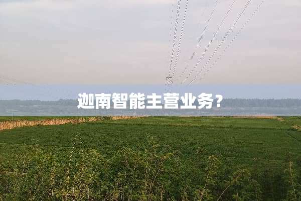 迦南智能主营业务？