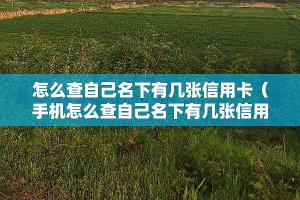 怎么查自己名下有几张***（手机怎么查自己名下有几张***）