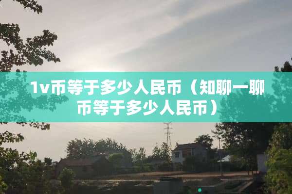 1v币等于多少人民币（知聊一聊币等于多少人民币）