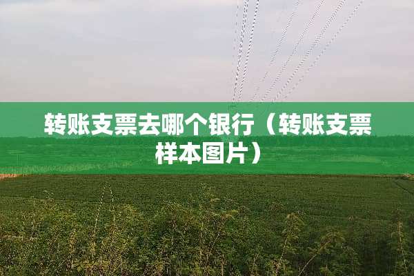 转账支票去哪个银行（转账支票样本图片）