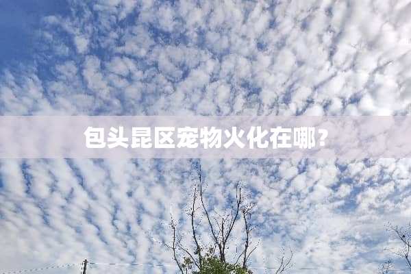 包头昆区宠物火化在哪？