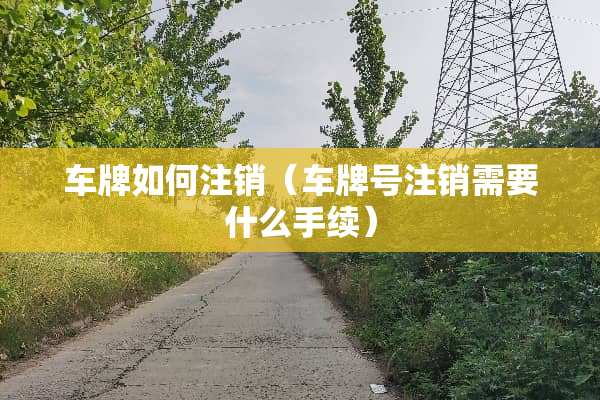 车牌如何注销（***注销需要什么手续）