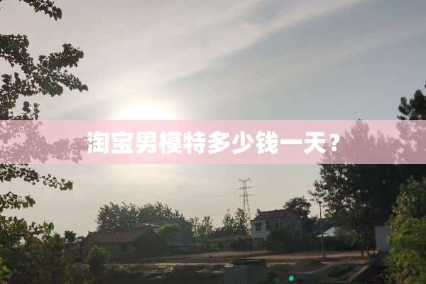 淘宝男模特多少钱一天？