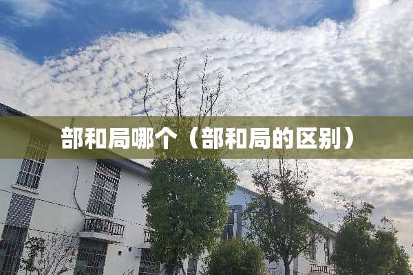 部和局哪个（部和局的区别）