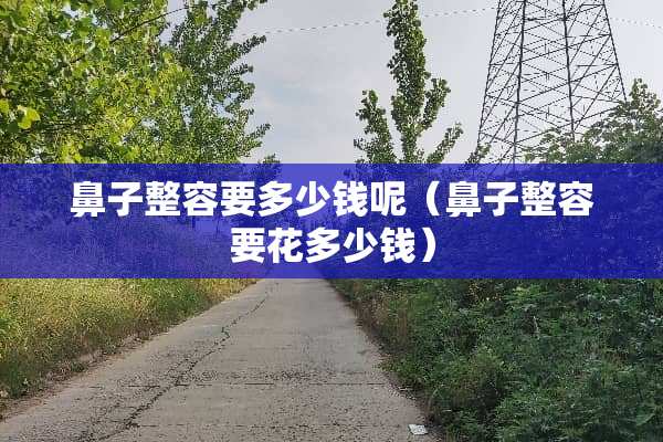 鼻子整容要多少钱呢（鼻子整容要花多少钱）