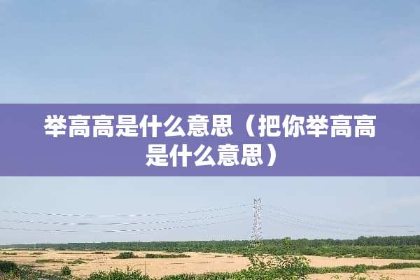 举高高是什么意思（把你举高高是什么意思）