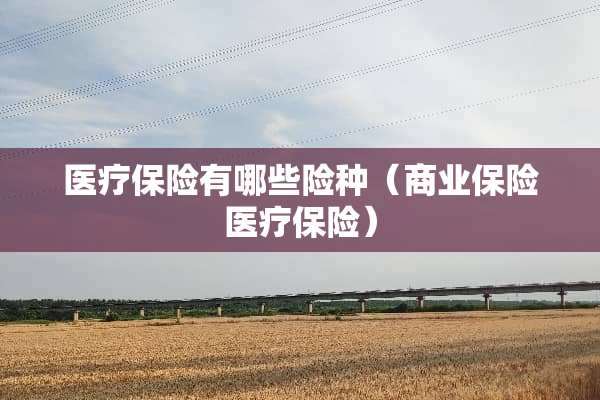 医疗保险有哪些险种（商业保险医疗保险）