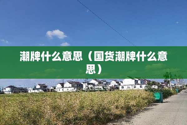 潮牌什么意思（国货潮牌什么意思）