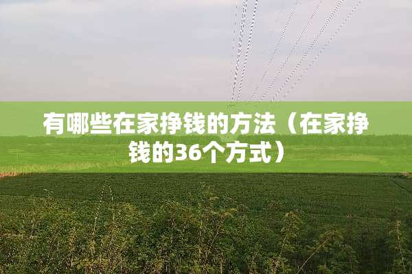 有哪些在家挣钱的方法（在家挣钱的36个方式）