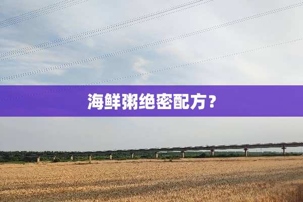 海鲜粥绝密配方？