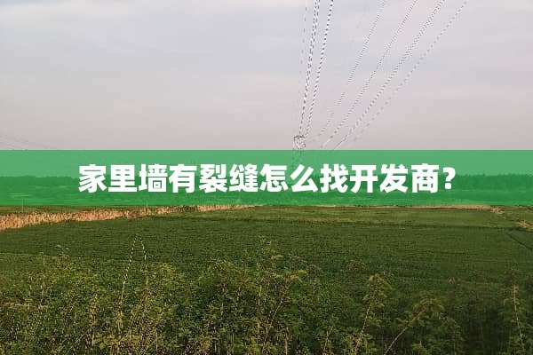 家里墙有裂缝怎么找开发商？