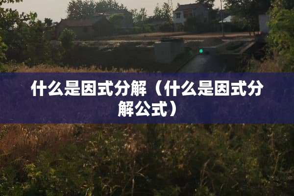 什么是因式分解（什么是因式分解公式）