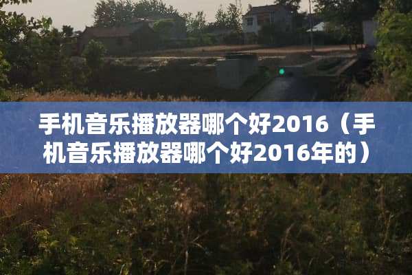 手机音乐播放器哪个好2016（手机音乐播放器哪个好2016年的）