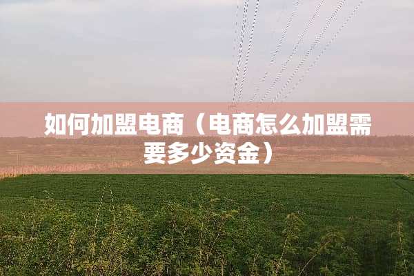 如何加盟电商（电商怎么加盟需要多少资金）