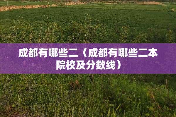 成都有哪些二（成都有哪些二本院校及分数线）