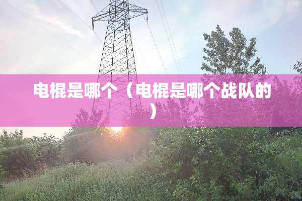 **是哪个（**是哪个战队的）