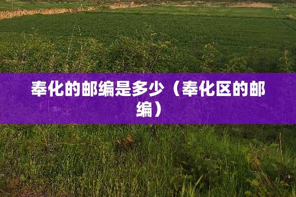 奉化的邮编是多少（奉化区的邮编）