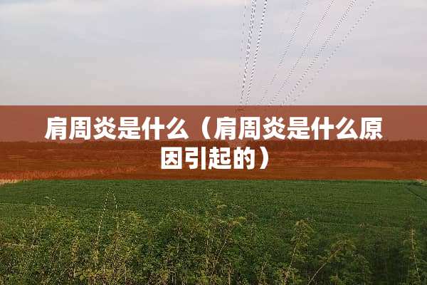肩周炎是什么（肩周炎是什么原因引起的）