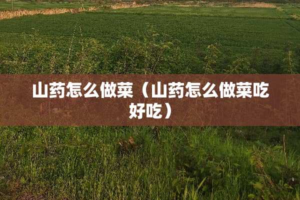 山药怎么做菜（山药怎么做菜吃好吃）