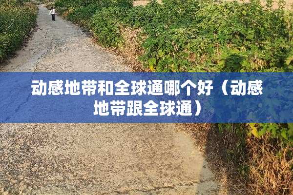 动感地带和全球通哪个好（动感地带跟全球通）
