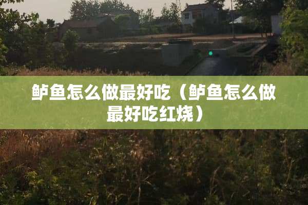 鲈鱼怎么做最好吃（鲈鱼怎么做最好吃红烧）