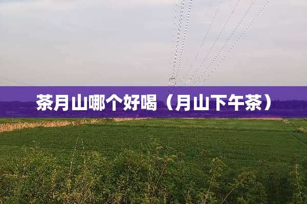 茶月山哪个好喝（月山下午茶）
