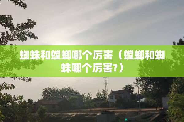 蜘蛛和螳螂哪个厉害（螳螂和蜘蛛哪个厉害?）