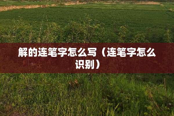 解的连笔字怎么写（连笔字怎么识别）