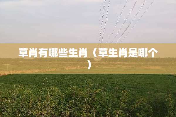 草肖有哪些生肖（草生肖是哪个）