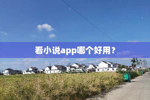 看小说app哪个好用？