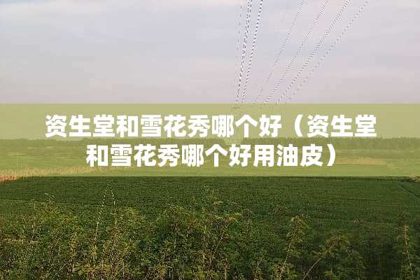 资生堂和雪花秀哪个好（资生堂和雪花秀哪个好用油皮）