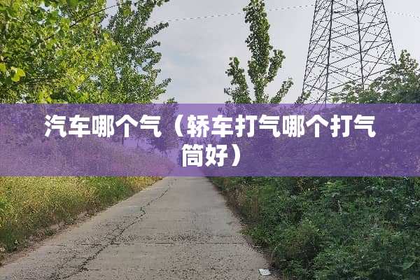 汽车哪个气（轿车打气哪个打气筒好）