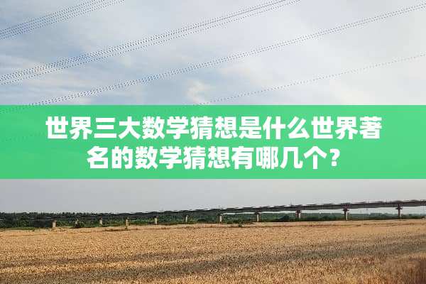 世界三大数学猜想是什么世界著名的数学猜想有哪几个？